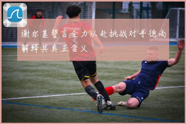 谢尔基誓言全力以赴挑战对手德尚解释其真正含义