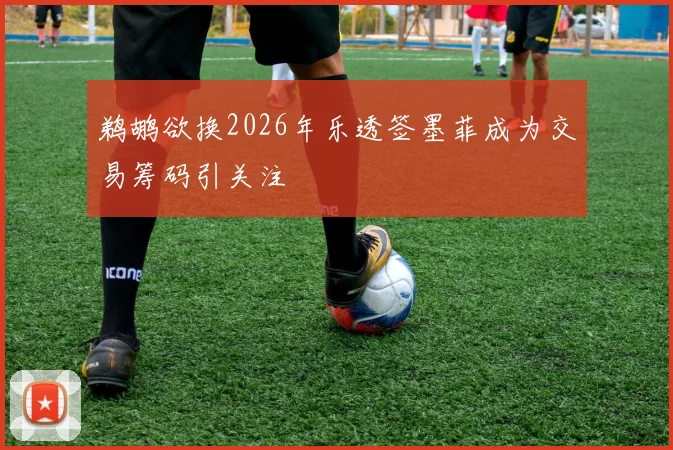 鹈鹕欲换2026年乐透签墨菲成为交易筹码引关注